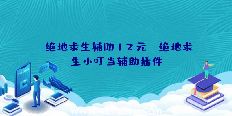 「绝地求生辅助12元」|绝地求生小叮当辅助插件